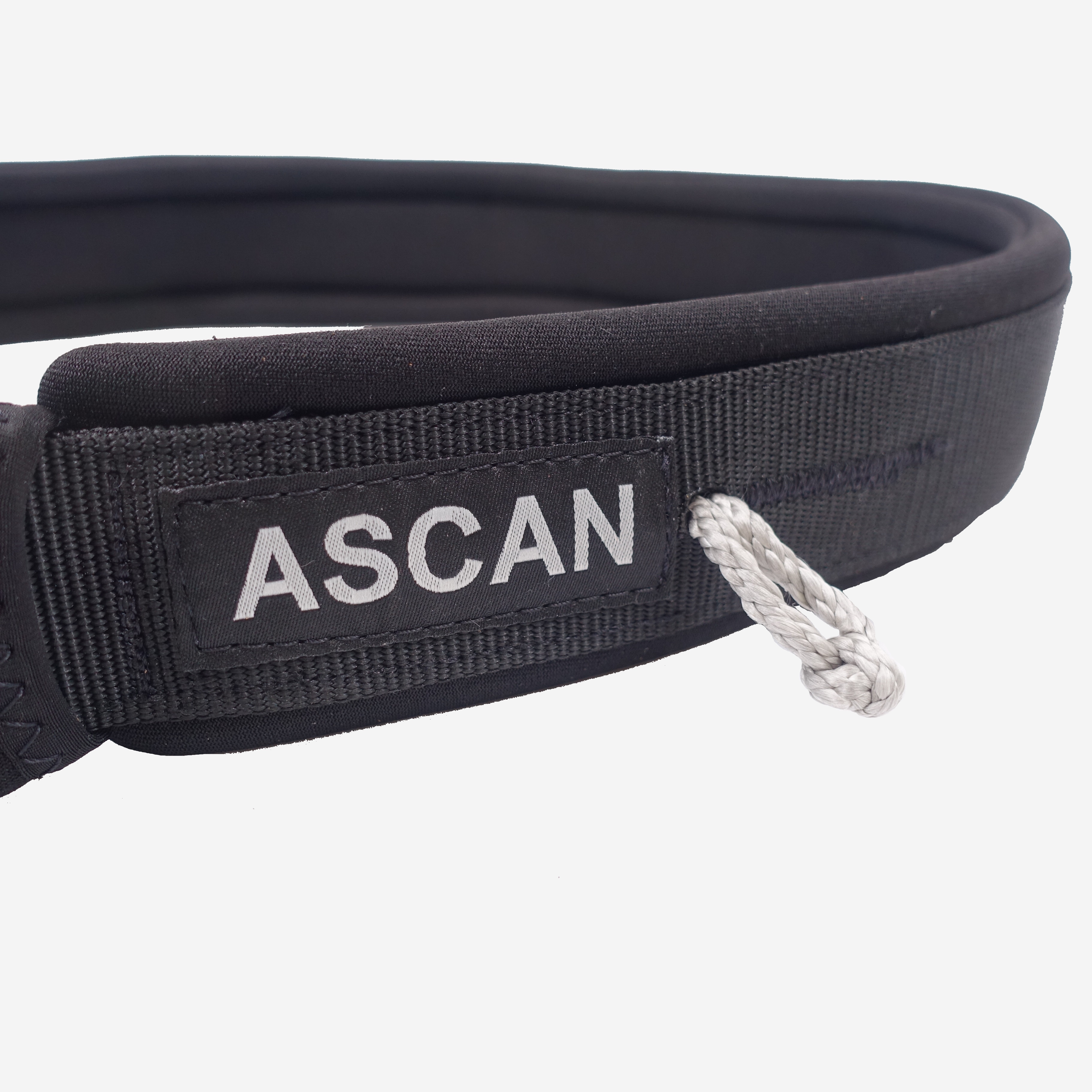Wing & Board Belt mit Haken